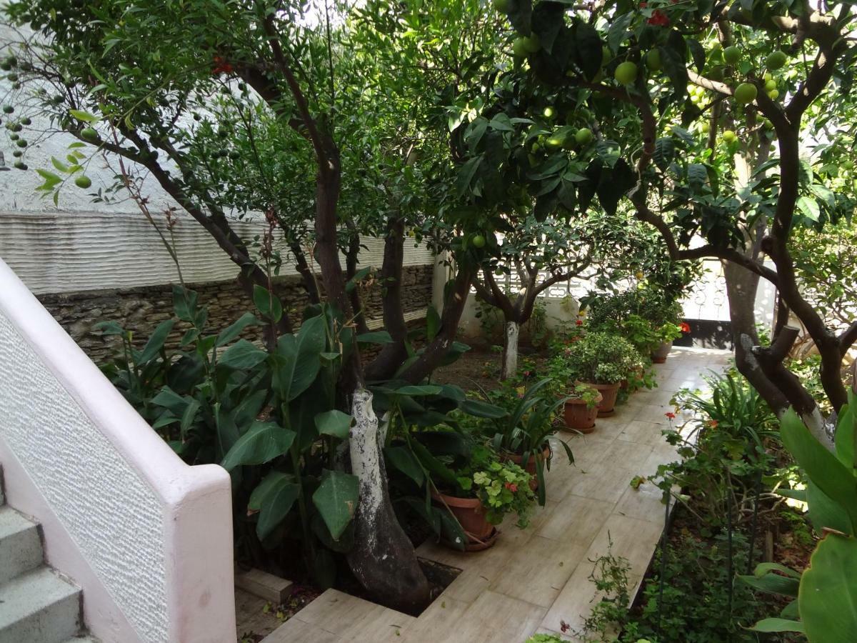 הוילה Khónias Cozy Citrus Garden House By The Seaside. מראה חיצוני תמונה